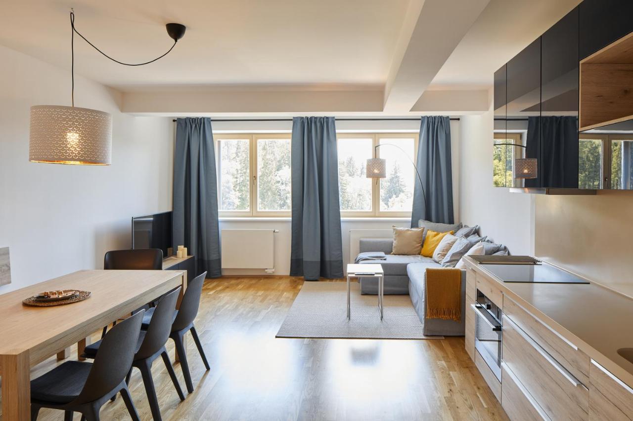 Lucni Apartman Tymiana Černý Důl Zewnętrze zdjęcie