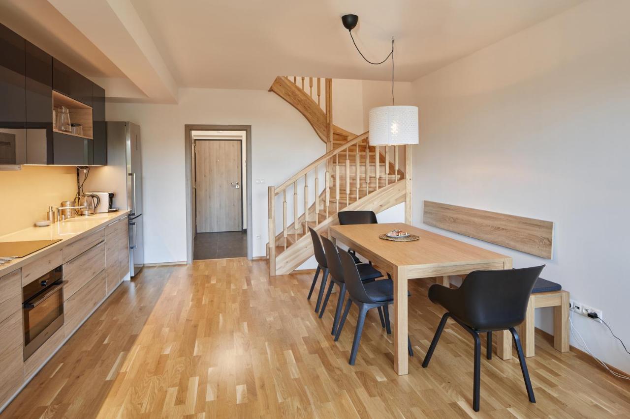 Lucni Apartman Tymiana Černý Důl Zewnętrze zdjęcie