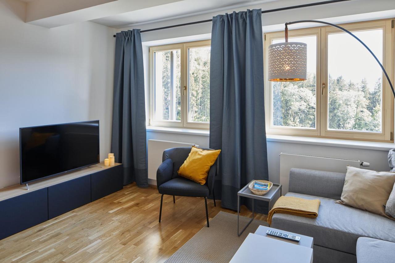 Lucni Apartman Tymiana Černý Důl Zewnętrze zdjęcie